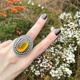 Amber Sunburst Ring Size 7.5
