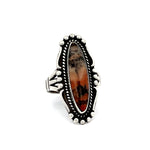 Painted Desert Jasper Ring Size 7